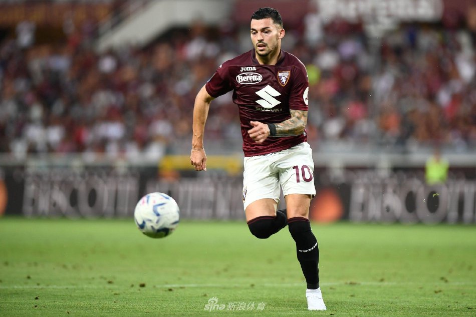 的仔细琢磨 的仔细琢磨